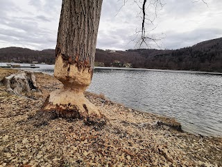 Kąpielisko i plaża Rożnów-Zapora