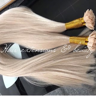 mobile hair extensions & beauty