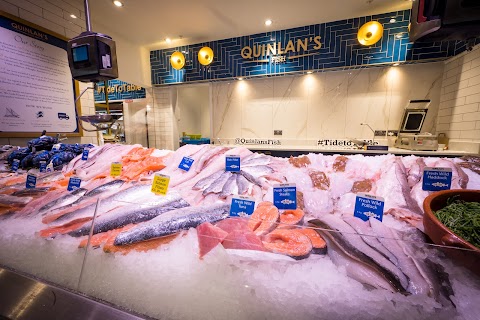 Quinlan's Fish Dunnes Stores North Circular Road Tralee