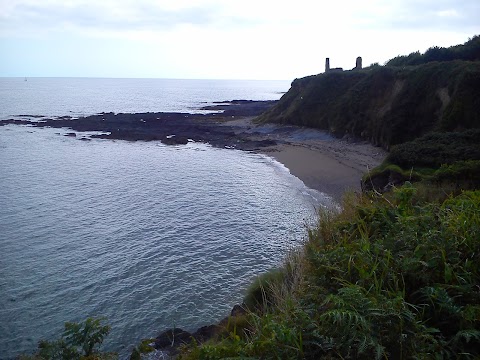 Kinsale Surf Adventures