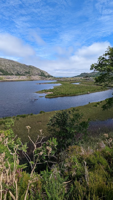 Owengarriff River