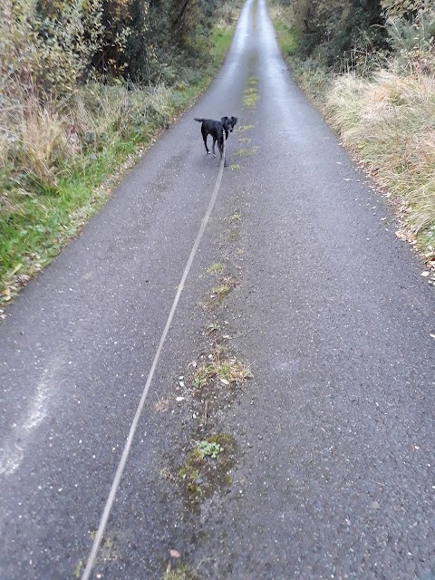 Kenmare Veterinary Centre