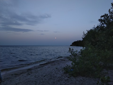 База відпочінку УДПУ Драгоманова " Берізка"