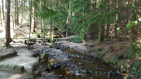 Monicknew- Slieve Bloom Mountain’s track