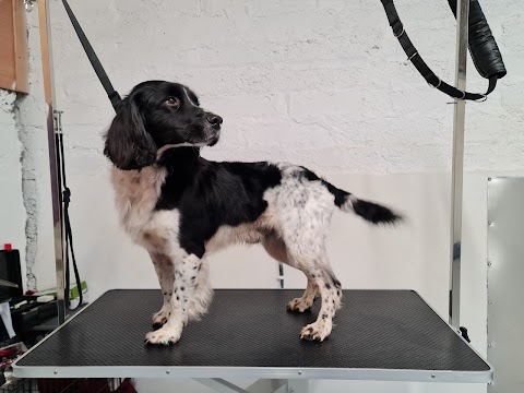 Dog Grooming Midleton Rose & Silk