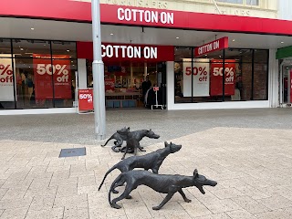 Cotton On Launceston