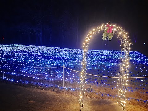 Magiczny Ogród Świateł Christmas Garden Chorzów