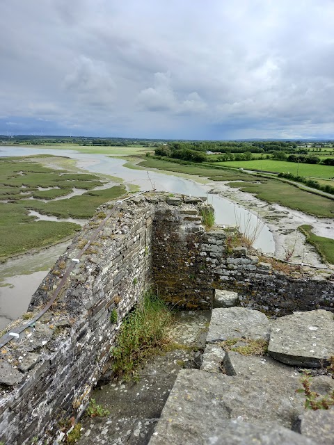 Carrigafoyle Castle