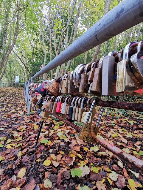 Lough Ree Park Walking Trail