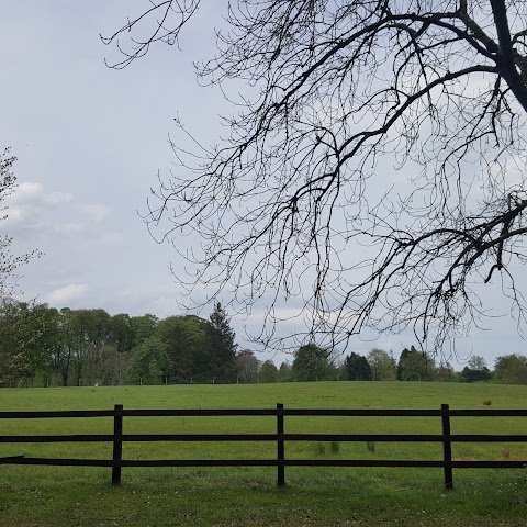 Ballina Golf Club