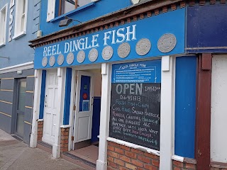 Reel Dingle Fish