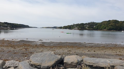 Cork Whale Watch