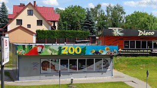 Mini Zoo. Sklep zoologiczny