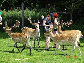 Park Dzikich Zwierząt Kadzidłowo