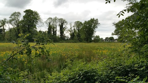 Longford Sports & Leisure Centre