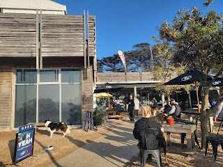 The Salty Dog Cafe