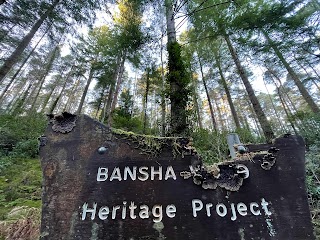 Bansha Wood Carpark