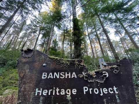 Bansha Wood Carpark