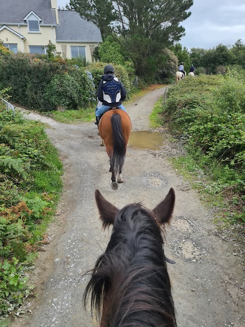 Bantry Bay Pony Trekking