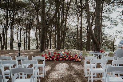 photo of Lime Tree Bower Florist