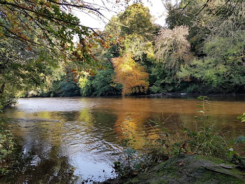 Mallow Town Park