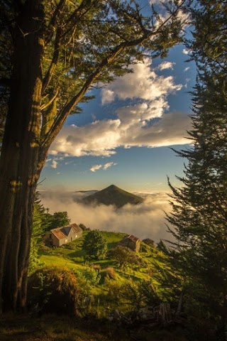 The Cottage - Otago Peninsula