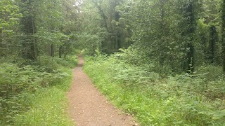 Bansha Forest Recreational Area