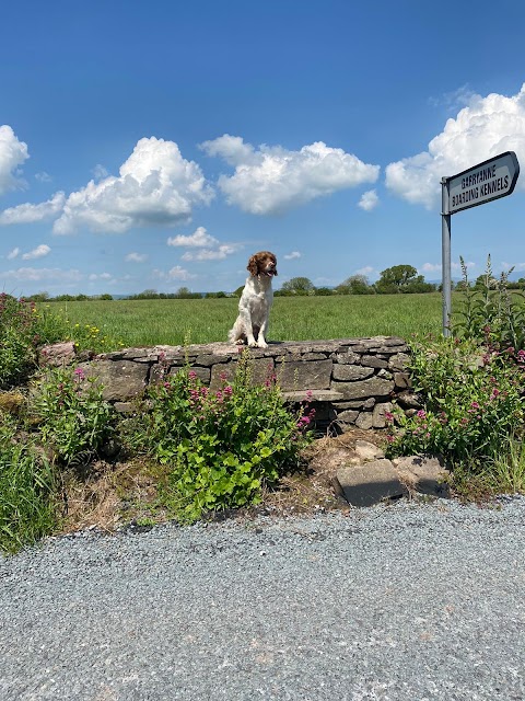 Garryanne Boarding Kennels & Cattery