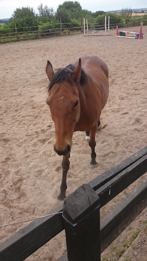 East Cork Equestrian Centre