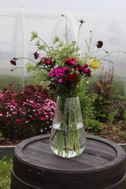 Clonakenny Flower Farm- collection only