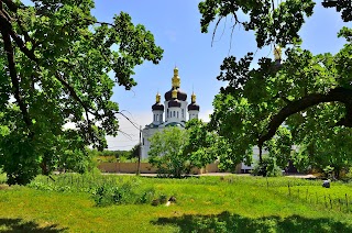 Скит Києво-Печерської Лаври на честь ікони Богородиці «Києво-Печерська» на вул. Ягідній