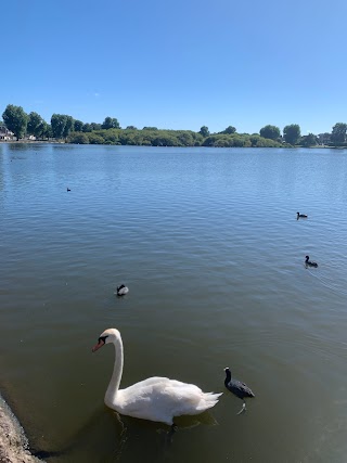 The Lough Park