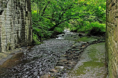 Monicknew- Slieve Bloom Mountain’s track