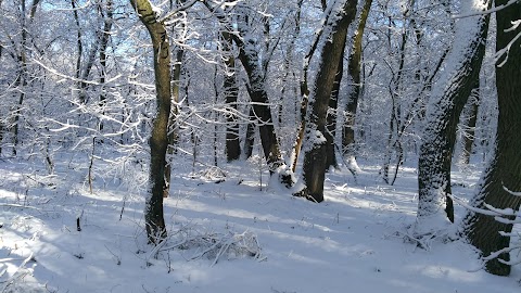 Детский лагерь им. С. Маркова