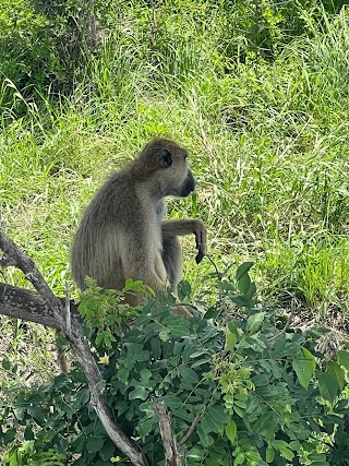 Wycieczki na Zanzibarze - WycieczkiOnline.com