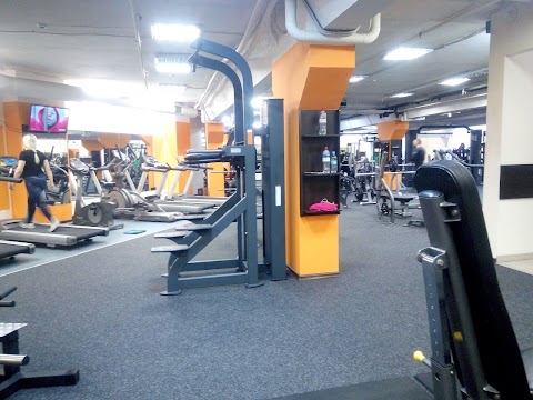 Pulse Gym