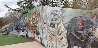 Melbourne Zoo Ranger Station Classroom