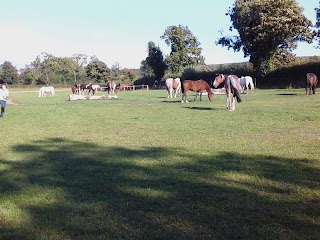 Glen Aire Stables