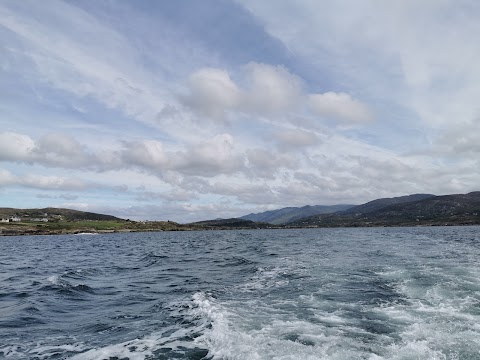 Beara Boat Tours