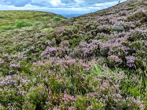 Ridge of Cappard Car Park