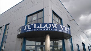 Tullow vet-Veterinary Clinic