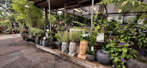 Kiernans Garden Centre