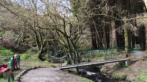 Glanageenty Forest Recreation Area