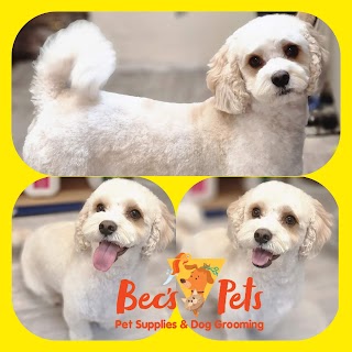 Bec's Pet's - Online Pet Shop Fermoy