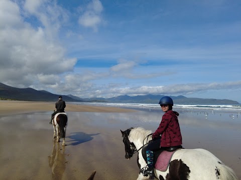 O'Connor's Trekking Horse Riding