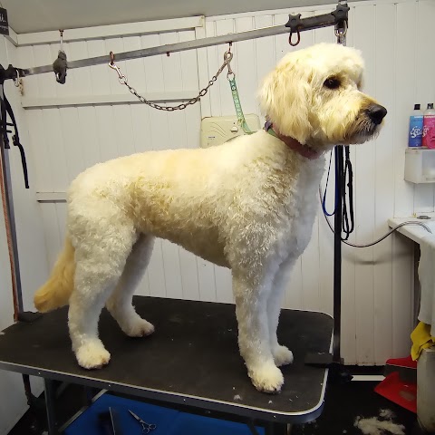 K9 Care Grooming and Training