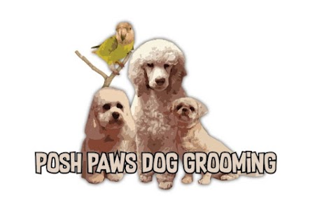 Posh Paws Dog Grooming Salon