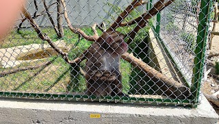 Ogród Zoologiczny Leśne Zacisze