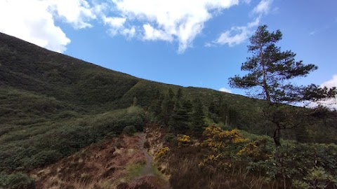 Bay Lough Car Park