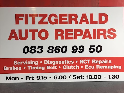 Fitzgerald Auto Repairs